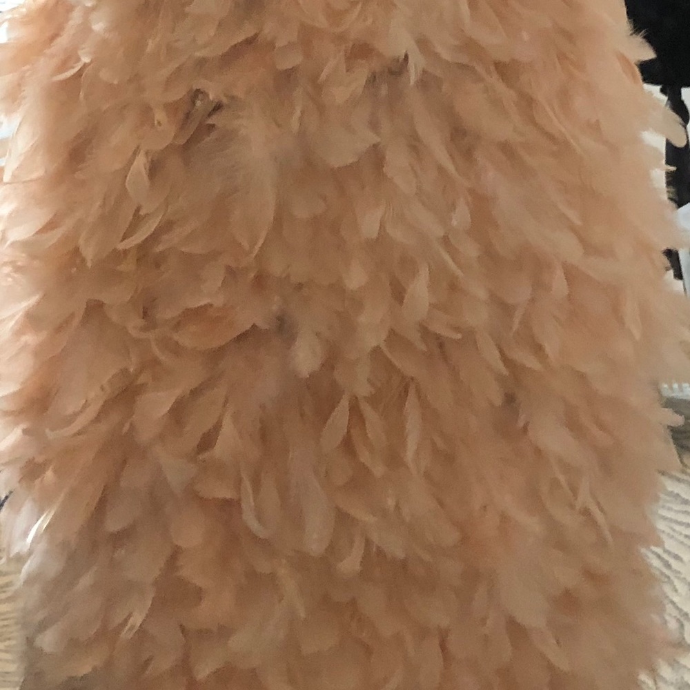 Marchesa Spring ‘16 Lace & Blush Feather Dress - Picture 16 of 16
